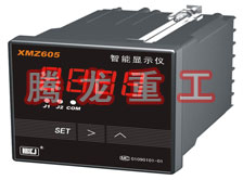 溫度表、數(shù)字顯示儀、濕度表