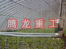 大棚花卉供暖設(shè)備、大棚卉采暖設(shè)備、大棚花卉取暖設(shè)備